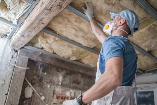 Best Insulation for Specific Applications in Lemont, IL