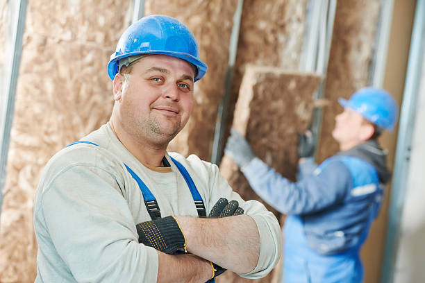 Best Energy Efficiency Solutions in Lemont, IL